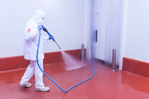 Professional Pressure Washing Services in Bayou Lourse, LA